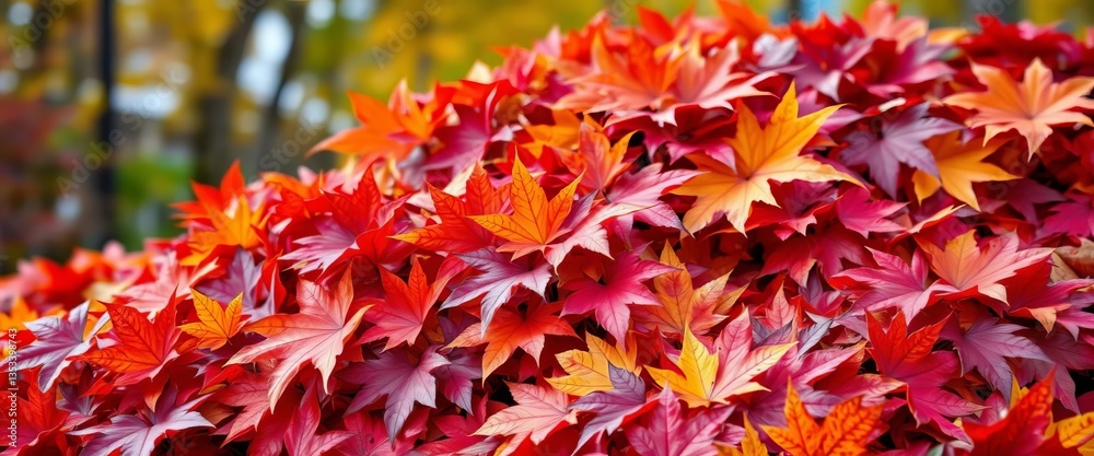 A vibrant pile of autumn leaves in red, orange, yellow, and purple hues , vibrant colors, purple leaves A vibrant pile of autumn leaves in red, orange, yellow, and purple hues , vibrant colors, purple leaves