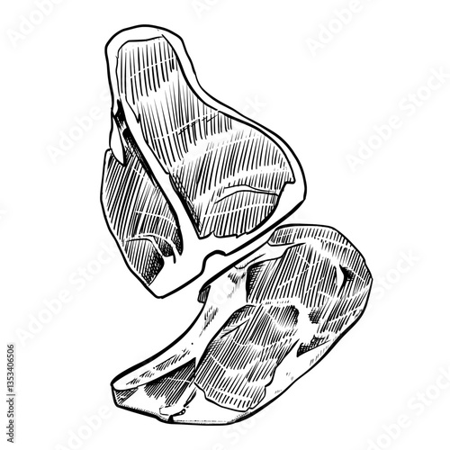Hand-Drawn Beef or pork Steak Vector Illustration