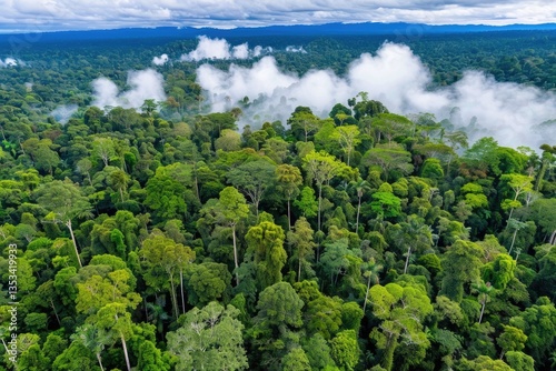 A verdant aerial view of a dense tropical rainforest landscape