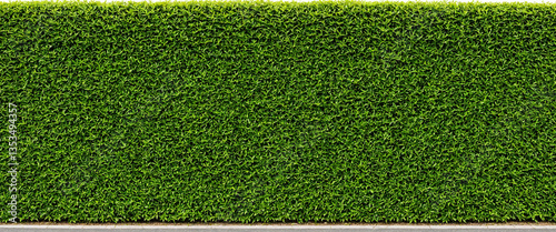 green hedge with concrete b...