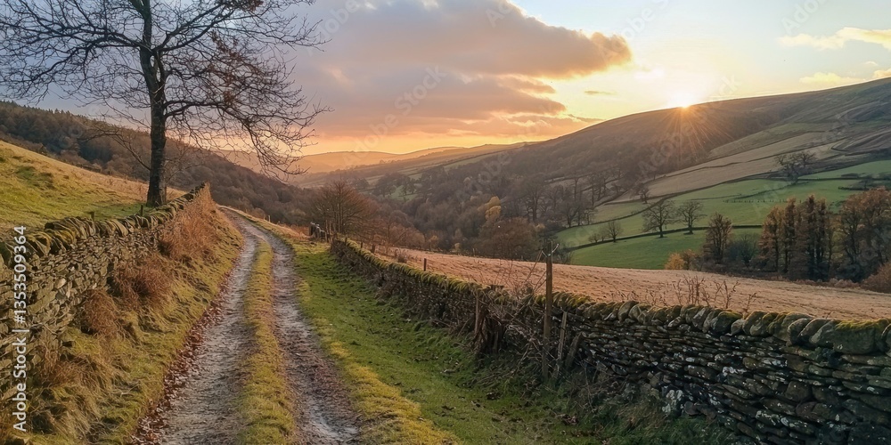 Fototapeta premium A peaceful countryside scene with the sun setting behind rolling hills