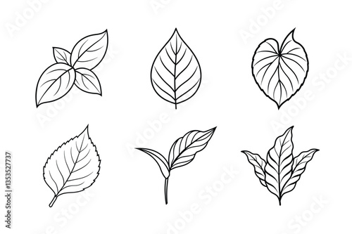 many kinds of leaves set line art vector illustrations