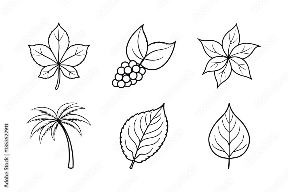 Fototapeta premium many kinds of leaves set line art vector illustrations