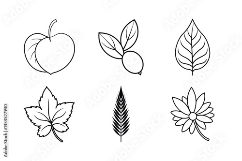 many kinds of leaves set line art vector illustrations