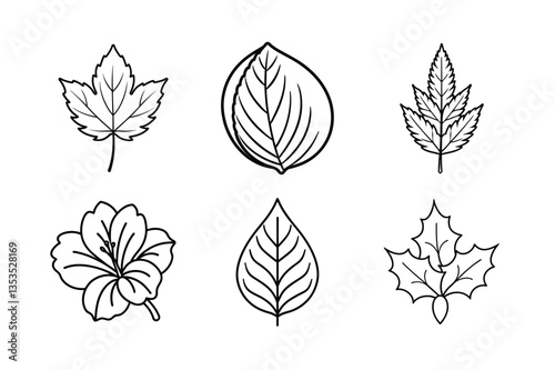 many kinds of leaves set line art vector illustrations