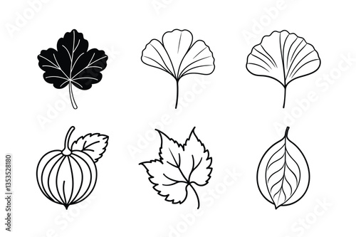 many kinds of leaves set line art vector illustrations