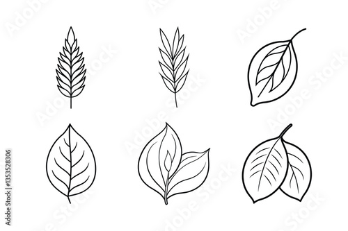 many kinds of leaves set line art vector illustrations