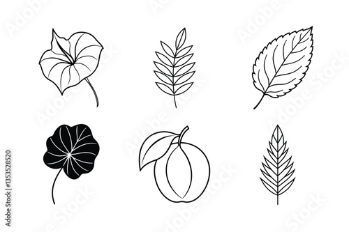 many kinds of leaves set line art vector illustrations