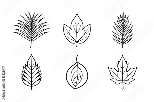 many kinds of leaves set line art vector illustrations