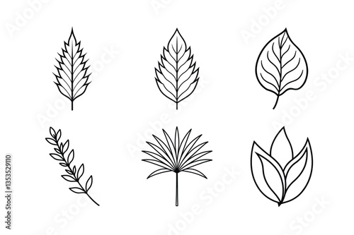 many kinds of leaves set line art vector illustrations