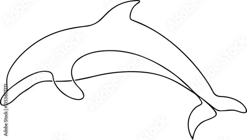 dolphin one line art vector illustration