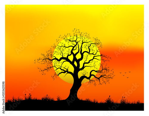 tree silhouette in sunrise.