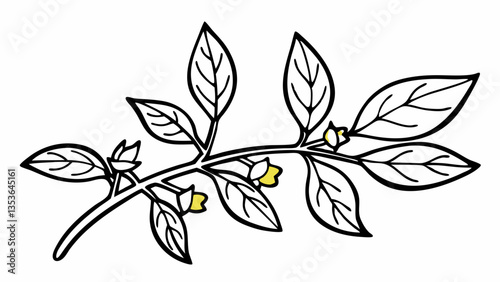 a high resolution close up of an ashwagandha plan created with generative ai