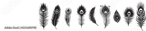 peacock feather silhouette vector set illustration
