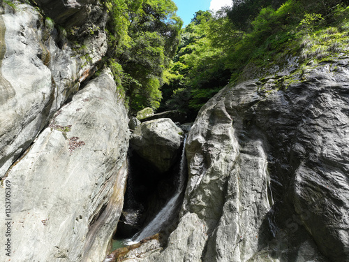 Obraz na płótnie 愛媛県西条市 止呂峡の風景 w salonie