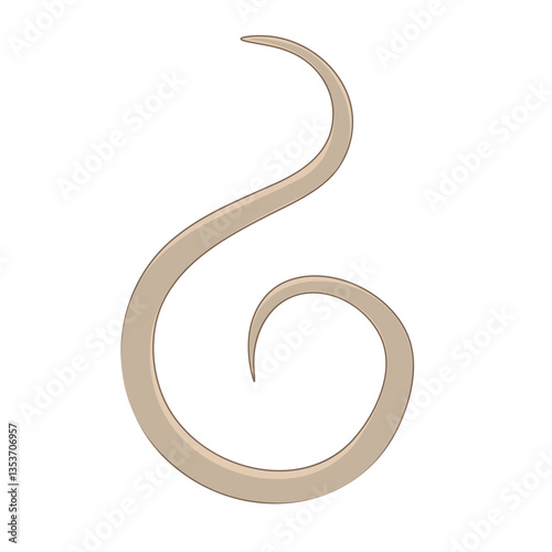 Elegant spiral helminth , icon, isolated.
