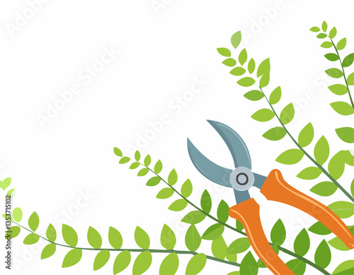 Pruning plant with pruning shears on white background, copy space, home garden theme