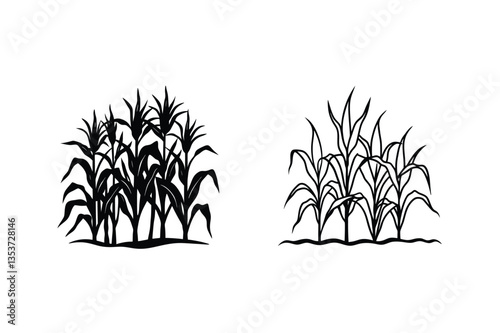 Silhouette and Outline Drawings of Corn Plants, Agriculture Field
