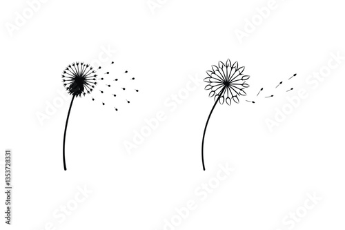 Dandelion Clocks Seeds, Flight, Wishes, Nature, Art, Black, White, Minimalist, Design, Illustration
