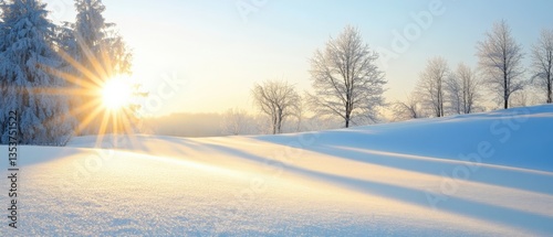 Winter landscape with bright sun