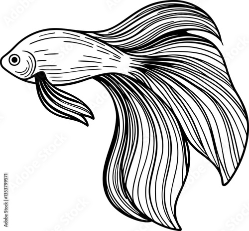 elegant betta fish illustration in black and white, graceful fins and detailed line art design