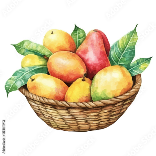 Mongongo Fruit Basket, watercolor vector, isolated on a white background.