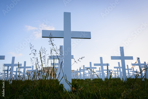 Obraz na płótnie Low angle view of white crosses on Armistice Day commemoration. Auckland. New Zealand. w salonie