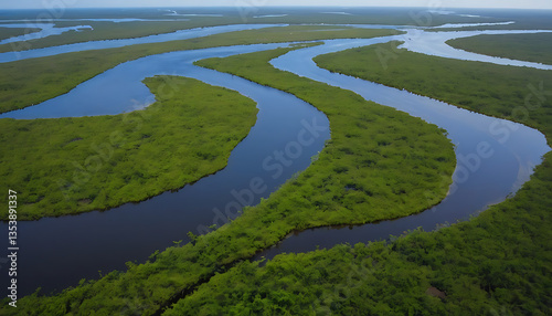 Stick Marsh: Cypress swamp aerial views, airboat tours, abundant birdlife, and pristine Everglades nature preserve await