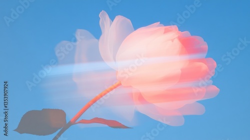 Abstract light pink rose against a vibrant blue background
