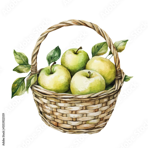 watercolor of Pond Apple Basket, isolated on a white background.