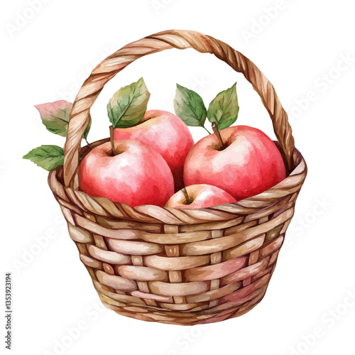Pond Apple Basket, watercolor illustration, isolated on a white background.