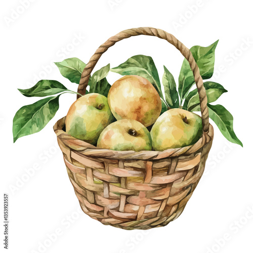 watercolor of Pond Apple Basket, isolated on a white background.