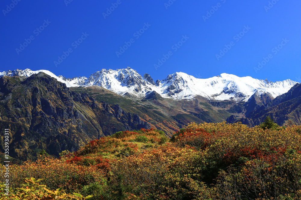 Image of snow-capped mountains, forests and autumn colors. Image of snow-capped mountains, forests and autumn colors.