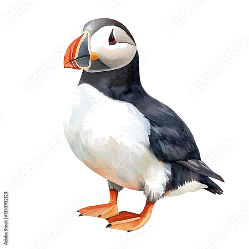 Puffin, watercolor illustration, isolated on a white background.