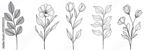 Delicate Floral Line Art (5) photo