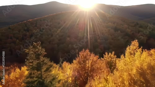 Sunlight Shines on Colorful Autumn Trees