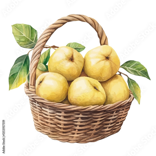 watercolor vector of Quince Basket, isolated on a white background.