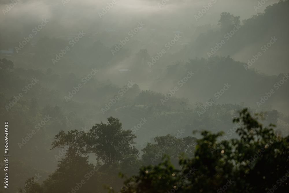 Fototapeta premium Morning fog on high mountains.