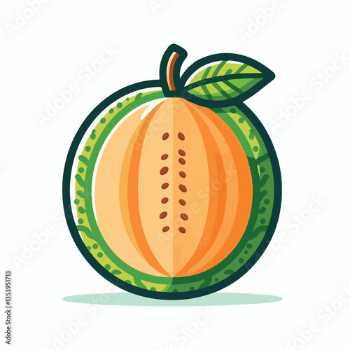 fruit, cantaloupe, melon, juicy, organic, ripe, fresh, food, background, healthy, dessert, sweet, diet, summer, cut, nutrition, vegetarian, green, natural, delicious, isolated, raw, orange, tasty, vit