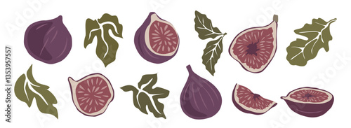 Hand drawn abstract fig fruits set. Collection of whole and cut figs, leaves vector illustrations isolated on transparent background. Fresh juicy fruits hand drawn clip art.