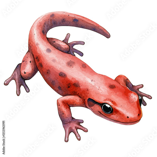 Salamander, watercolor illustration, isolated on a white background.