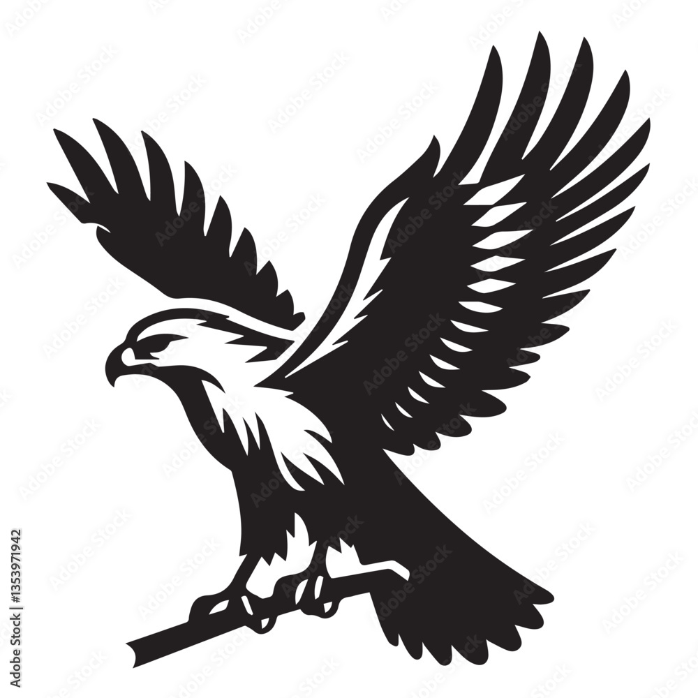 Obraz premium Hawk silhouette black and white vector icon