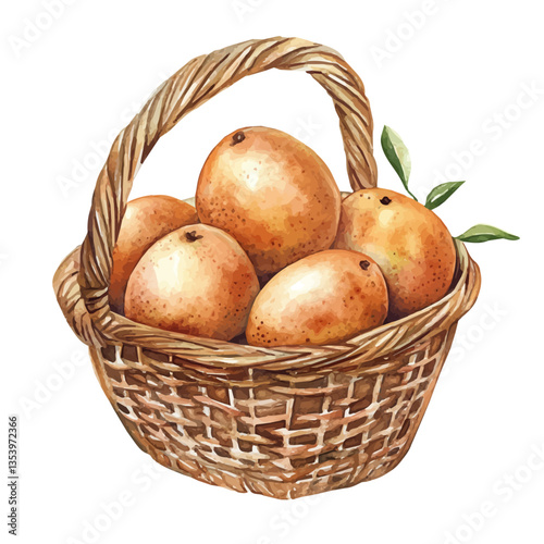 watercolor vector of Sapodilla Basket, isolated on a white background.