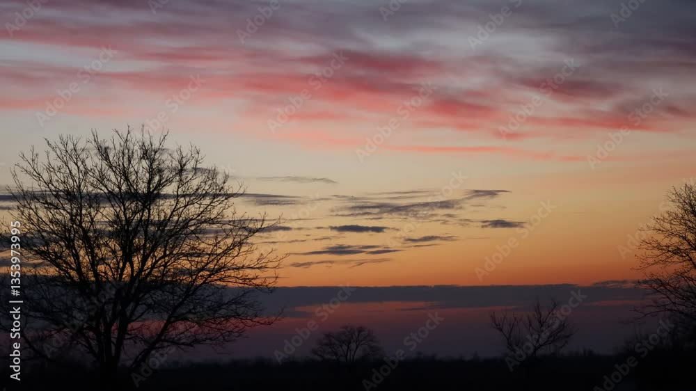 Majestic sunrise illuminating the countryside with bare tree silhouette Majestic sunrise illuminating the countryside with bare tree silhouette