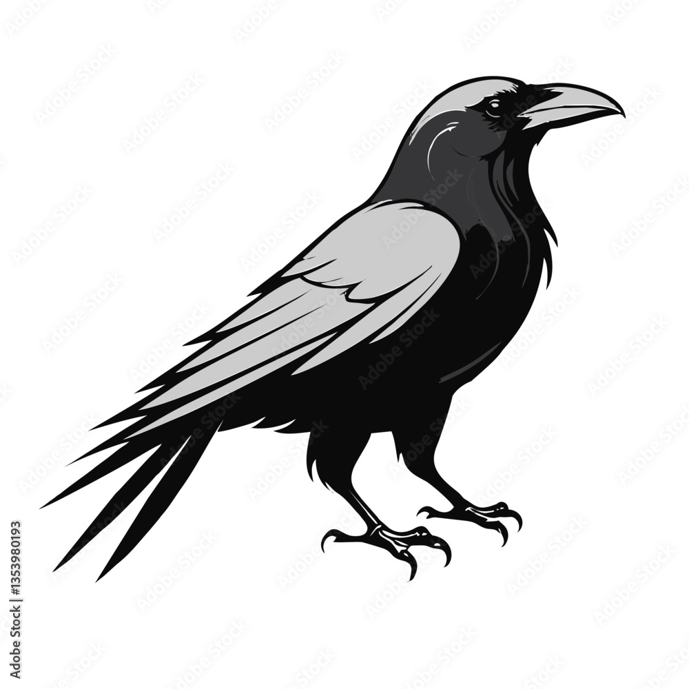 Obraz premium Minimalist Raven Vector Design
