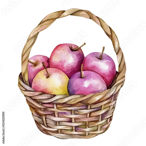 watercolor vector of Star Apple Basket, isolated on a white background.