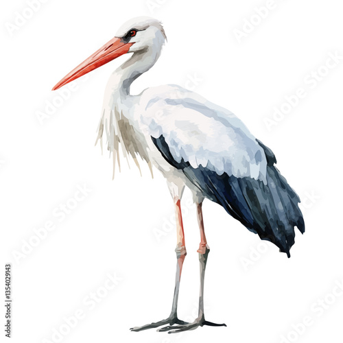 Stork, watercolor illustration, isolated on a white background.