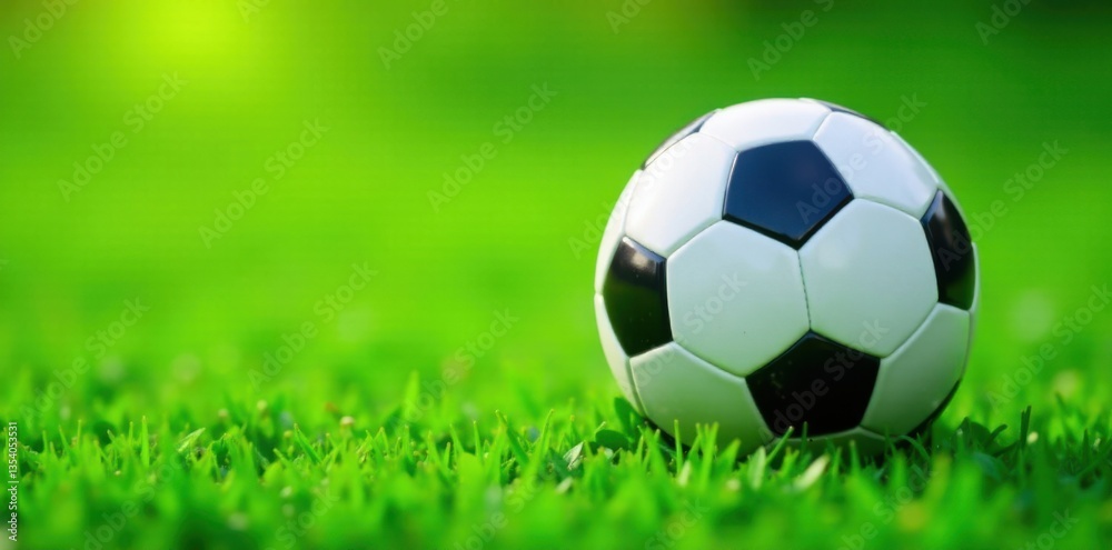Obraz premium Flat soccer ball icon on a green grass background, grassfield, fans