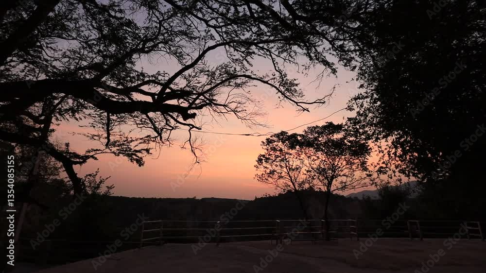 Natural video background of various trees growing in a big forest. There is a cool breeze blowing through. Many animals live together. The completeness of the forest system. Natural video background of various trees growing in a big forest. There is a cool breeze blowing through. Many animals live together. The completeness of the forest system.