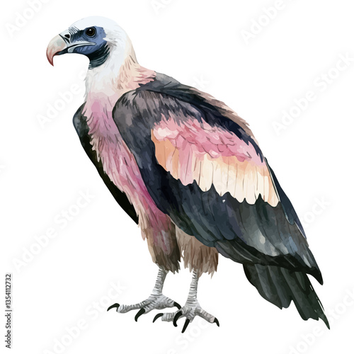 Vulture, watercolor vector, isolated on a white background.
